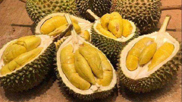Manfaat Dari Biji Durian Tuk Kesehatan